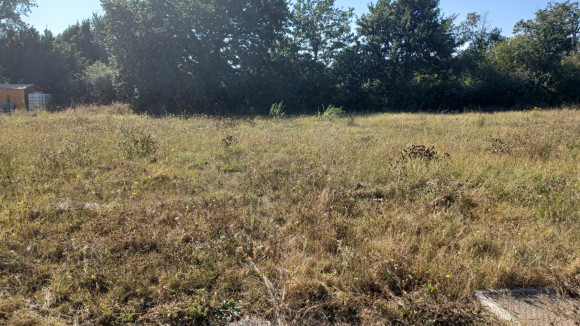 20210922_123016.jpg