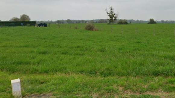 Marans - photo.png