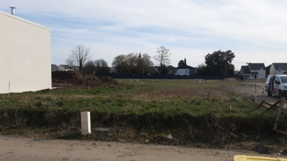 005-VT 20250303-1741012994407.jpeg