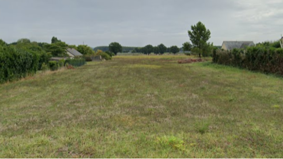 maze milon(1)(1).PNG