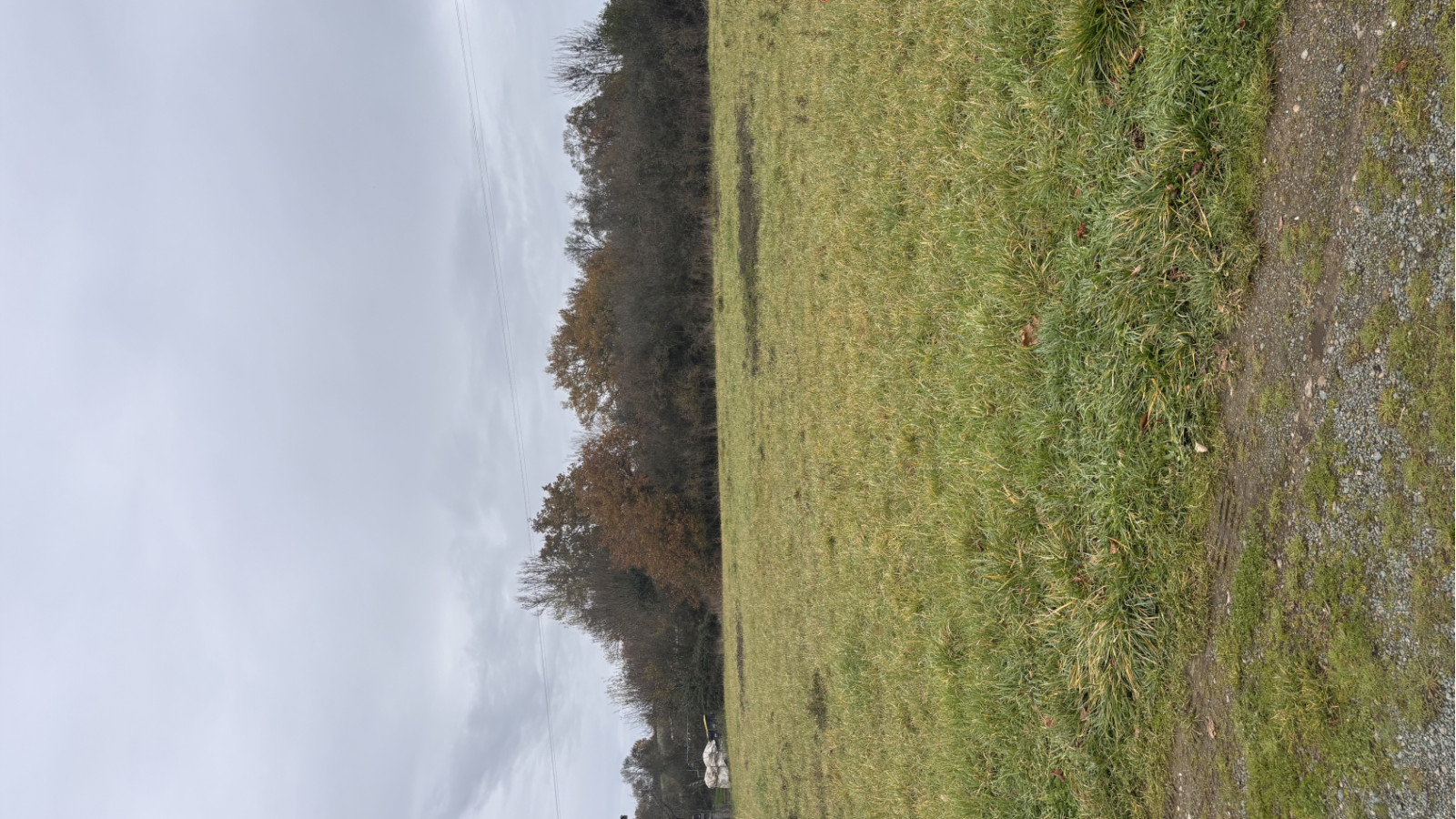 Terrain constructible de 423m2 à Beaupréau-en-Mauges