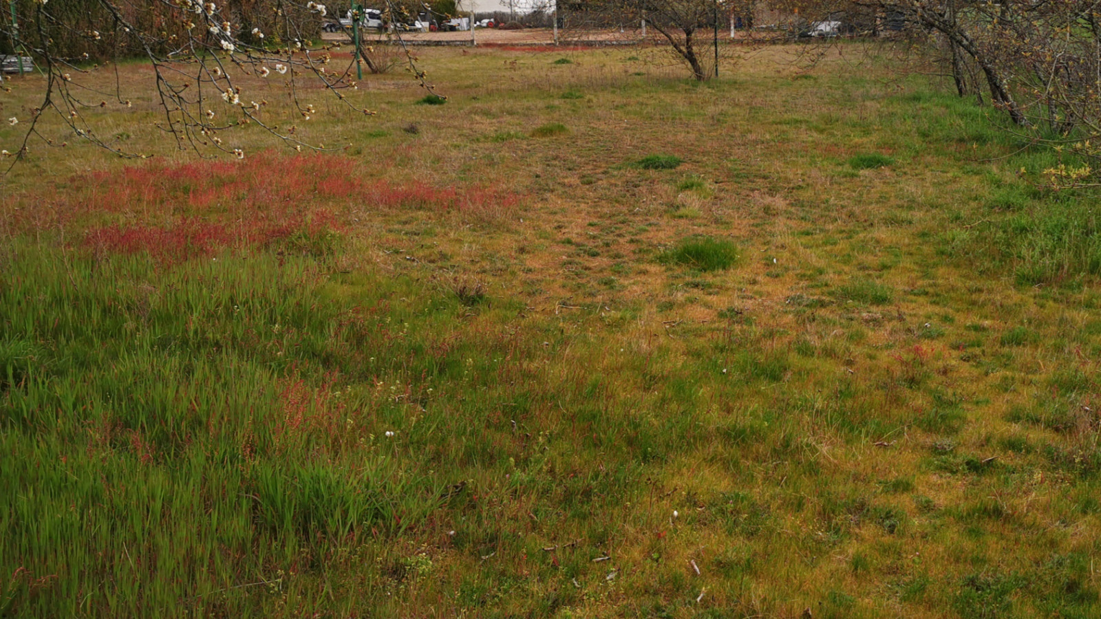 Terrain constructible de 400m2 à Loches