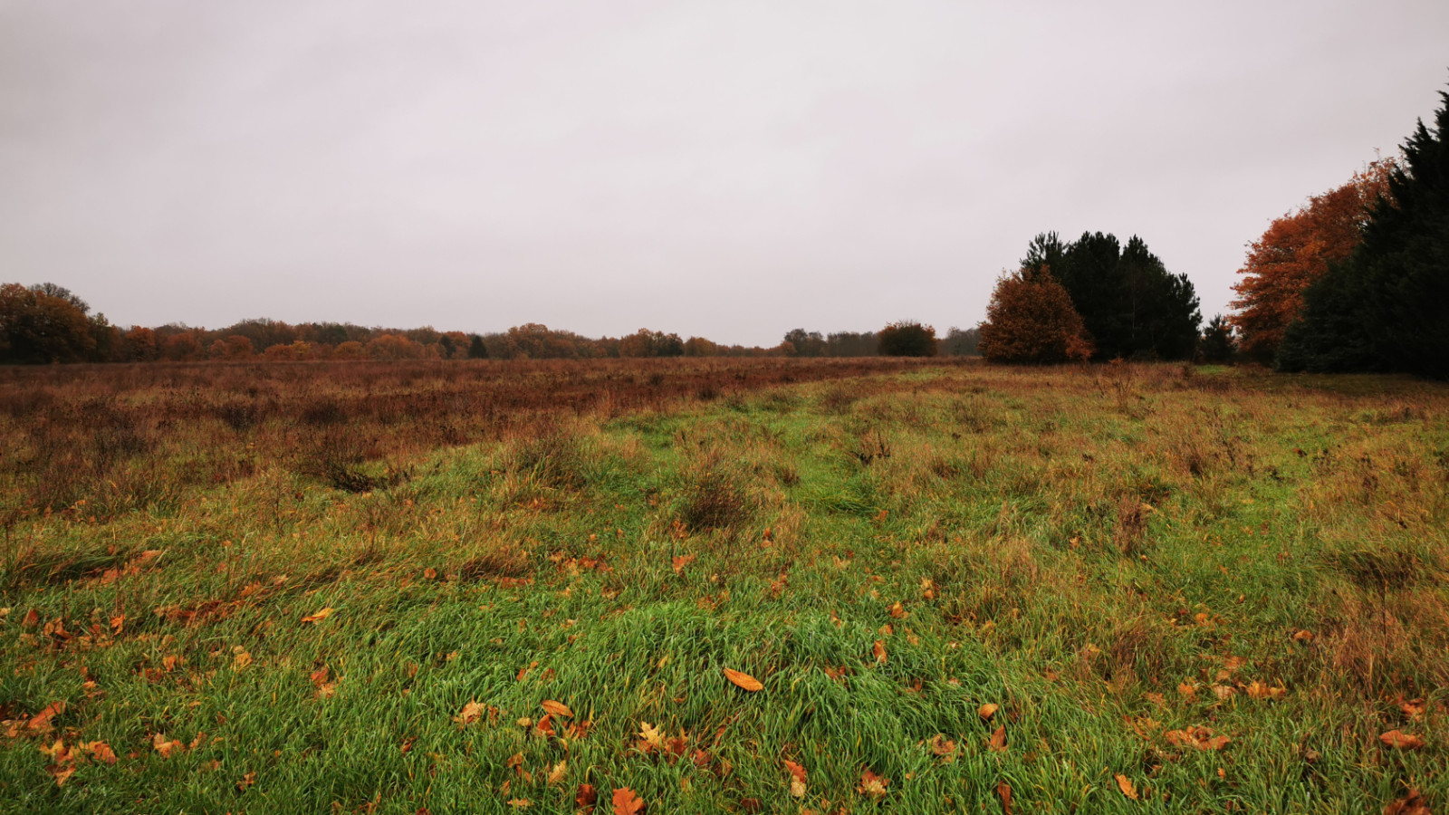 Terrain constructible de 353m2 à Tauxigny-Saint-Bauld